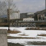 Power Supply Recovery and Improved Potato Crop  - A brief sigh of relief for N.Koreans