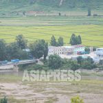 ＜Inside N.Korea＞Execution of Border Guard Officer Accused of Overlooking Defectors