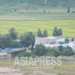 "All-Clear Given Following ''South Apology' " - N.Korean State Announces