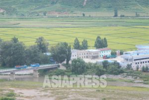 "All-Clear Given Following ''South Apology' " - N.Korean State Announces