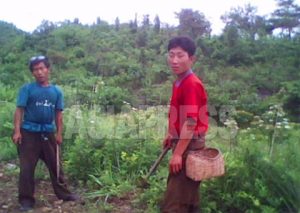 Mass protest at a Collective Farm in N.Korea - Stones Thrown by Farmers at Officials