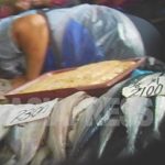 <Inside N.Korea> Why are North Korean Squid Boats Washing up on Japanese Shores?(3 Photos)