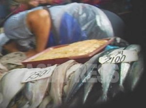 ＜Inside N.Korea＞ Why are North Korean Squid Boats Washing up on Japanese Shores?(3 Photos)