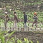 <N.Korea photo report>A Look at North Korea's Impoverished Rural Women (4) 'People are working just to be robbed' (Photo 5)