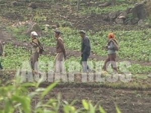 <N.Korea photo report>A Look at North Korea's Impoverished Rural Women (4) 'People are working just to be robbed' (Photo 5)