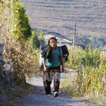 The Rice Riddle: How Are Grain Prices Remaining Stable as N. Korea Faces a Humanitarian Crisis?