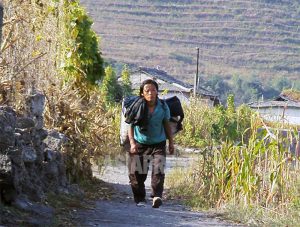 The Rice Riddle: How Are Grain Prices Remaining Stable as N. Korea Faces a Humanitarian Crisis?