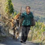 <Inside N. Korea>Poverty Forces Rural, Underage Women into Prostitution: Regime Responds with Rallies and Police Stings