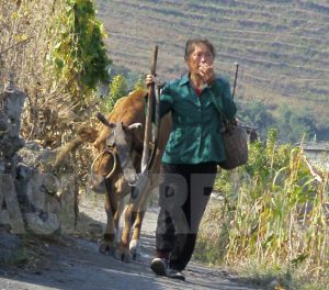 <Inside N. Korea> When Even Sex Doesn’t Sell: Poverty Forces Rural, Underage Women into Prostitution, Regime Responds with Rallies and Police Stings
