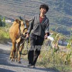 <Inside N. Korea> Restocked Regime: Government Grants “Loans” to Starving Farmers and Sells on Foreign Food Aid to Undercut Local Markets