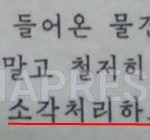 Was the Incineration of a Shot S. Korean Official in Accordance with Kim Jong-un’s Instructions?