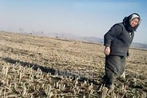 ＜Inside N. Korea＞ Agricultural Materials in Short Supply as Farmers Predict Disastrous Harvest