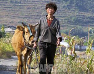 ＜Inside N. Korea＞ Last Resort: Urban Poor Flee to Farming Villages to Beg for Food