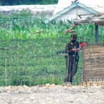 ＜Latest Photo Report＞ Scenes of North Korea Captured by Super Telephoto Lens (2) People Trapped in a "Cage” of Their Own Construction [ISHIMARU Jiro]