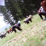 <Inside N. Korea>Farmers face very difficult conditions with food shortages causing rampant starvation…Labor shortages mean many farm fields remain unweeded and unplanted…Crop yields are down because of recent droughts