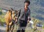 ＜Inside N. Korea＞Poverty-stricken urban dwellers raid farming villages in search of food…the police are on emergency alert to deal with the rise in robberies