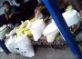 ＜Inside N. Korea＞Food sales banned in markets,  leading to anxiety and concern while deepening the poverty suffered by the poor