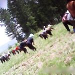 <Interview with N. Korean> Farm mobilizations start early this year amid orders to mobilize “every able-bodied person,”  How about the situation on the ground