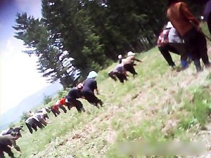 ＜Interview with N. Korean＞ Farm mobilizations start early this year amid orders to mobilize “every able-bodied person,”  How about the situation on the ground