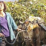 <Interview with N. Korean> Conducts mass mobilization to farming communities:   “People are being ordered to increase grain production to the death”… Even farmers are suffering from lack of food