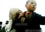 ＜Investigation Inside N. Korea＞Famine in the provinces : “Many people have died from the start of May due to starvation and disease…” (2)　Workers can’t go to work due to malnutrition…even at the DPRK’s largest iron mine
