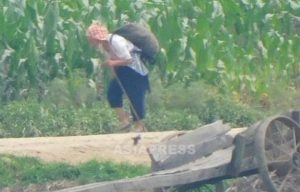 ＜Inside N. Korea＞ The Kim Jong-un regime prevents news of frequent suicides from spreading