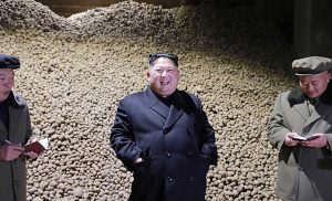 ＜Inside N. Korea＞ A recent report on conditions at farms (7)　 Many people mobilized to harvest this year’s good yield of potatoes… But, “several tons of potatoes are going rotten in a storage facility each day”