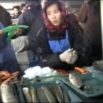< Investigation Inside N. Korea> How is the country’s fishing industry doing? (2) Distribution of seafood faces challenges due to severe government restrictions…Why are private businesspeople unable to distribute their goods?