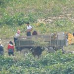 <Inside North Korea>Farmers protest against lack of food rations, police mobilized  Cadres diverted food to other uses