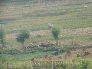 ＜Lighting Up N. Korea's Four Dark Years＞ (10) The Capitalist Ghost Under the Socialist Roof (2) "Leave the Quota to Me" - Are Wealthy Individuals the Driving Force of Rural Economy?