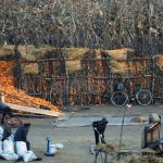 <North Korea Special>What is the Reality of Kim Jong-un's Agricultural Policy Reform? (1) "Collective" Disappears from Farms Major Revisions to Agricultural Regulations