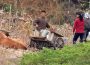 ＜Inside N. Korea＞ Farm Officials Illegally Transfer Children to Cities... Avoiding the Despised Farmer Status of Poverty and Contempt