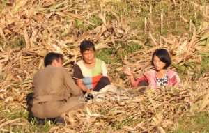 <Field Investigation> How Was North Korea's New 2025 Agricultural Policy? (2) The State Wants to Pay Cash for Farm Labor, Farmers Demand Grain in Kind… Friction Over Profits and Control (4 photos)