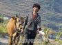 ＜Inside N. Korea＞ Confiscated Private 