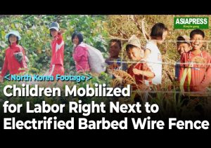 ＜N. Korean Video＞ NK Children Mobilized for Labor Under the Pretext of "Cultivating a Love for Labor"