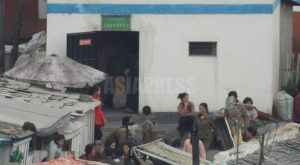 North Korea's Economy Through a Large-Scale Price Survey (3): The State Monopoly on Food Distribution Deepens — What Is the Current State of Grain Sales Stations?